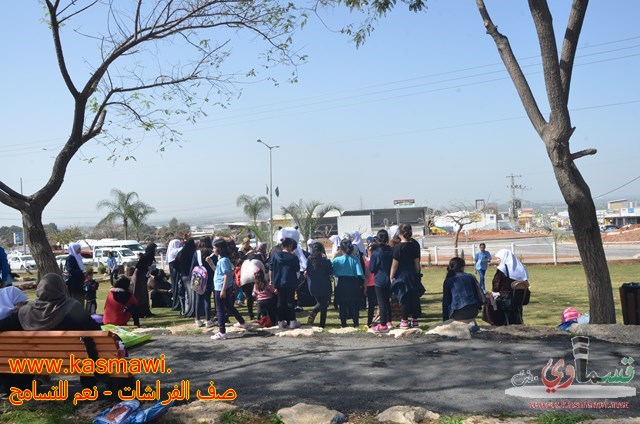 فيديو: صف الفراشات يطير كالفراشات في احضان منتزه عبد الكريم قاسم 